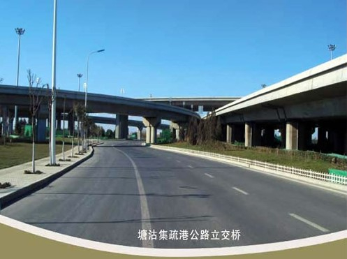 大新案例展示